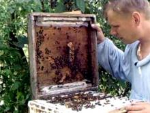 Пасечник Юрий Гагарин поспорил с инспекторами ГИБДД в Набережных Челнах