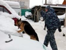Служебный пес Фрэнк обнаружил украденный у челнинца аккумулятор