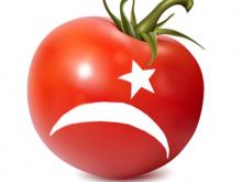 Ввоз турецких помидоров в Россию запрещен с 1 января. Роста цен это не вызовет