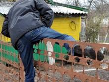 30-летний дачный вор вернулся на место преступления и был задержан полицией