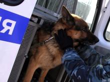 В челнинской школе-интернате «Омет» обнаружили подозрительные вещи