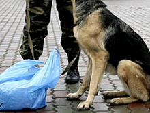 25 минут челнинцев не пускали к остановке из-за подозрительного пакета