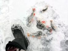 Ради чего челнинские рыбаки рискуют своей жизнью на неокрепшем льду реки Кама?