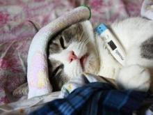 Грипп в Челны еще не пришел, но горожан настигла «новогодняя» простуда