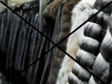 У челнинки украли 17200 рублей при покупке шубы через группу в соцсети