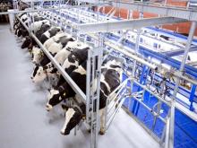 В Тукаевском районе открыли животноводческий комплекс на 400 коров