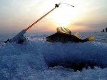 Потерявшийся рыболов позвонил бывшей жене с просьбой о помощи