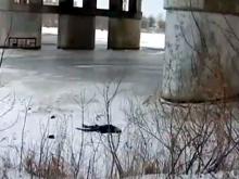 В Набережных Челнах под мостом через реку Мелекеска обнаружили труп молодого человека