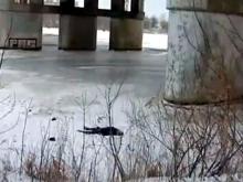 Установлена личность челнинца, упавшего с моста