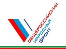 Отделение ОНФ в Татарстане объяснило, почему не признало активистов в Челнах 