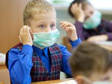 Нескольким школьникам в Набережных Челнах подтвердили диагноз «свиной грипп»