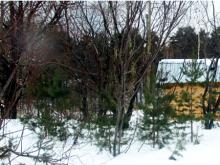 «КАМАЗ» судится за право арендовать землю на базах отдыха «Иволга» и «Бережок»