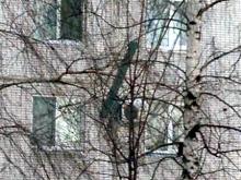 Только после жалобы в 'Народный контроль' сняли лист железа, нависший над головами прохожих