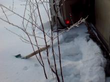 Спасатели из Набережных Челнов вытащили застрявшего в лесу на машине парня