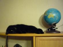 Выпускники в Челнах не хотят сдавать ЕГЭ по географии и немецкому языку