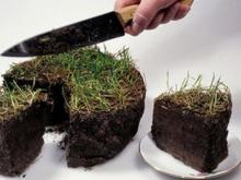 В Набережных Челнах чиновники со стажем от 6 лет получат право безвозмездно получать землю