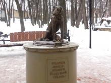 В памятник бездомной собаке в Елабуге собрали более 60 тысяч рублей