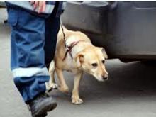 Бомбу под автомобилем не нашли - звонок из 18-го комплекса оказался ложным