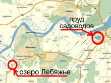 Садоводы из «Бережка» готовы судиться за свои заборы с экологами «хоть в Страсбурге»