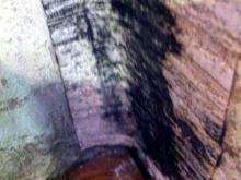 Почему в квартире холодно и плесневеют стены?