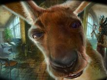 Прогуляться с кенгуру в Челнах можно в музее истории города