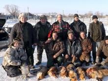 В Елабуге охотникам предлагают по 250 рублей за каждую убитую лису