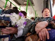 Дачникам выделяют 40 больших «Нефазов»