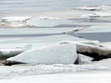 На Каме за плотиной тронулся лед