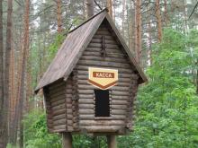 За вход в лесные зоны отдыха вводят плату – 50 рублей