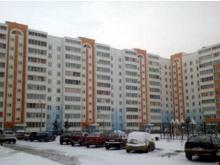 В 'замурованном' подвале дома 65/13А кошек не обнаружили