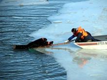 МЧС РТ: ожидается до +16 градусов тепла. Выход на реки смертельно опасен