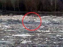 Два рыбака, зажатые в лодке под мостом через Вятку, уплыли от спасателей, увидев их