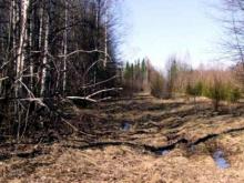 В лесопосадке возле села Танайка обнаружен труп 56-летней жительницы Мамадыша