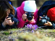 Андрей Веретенников приглашает на фотоохоту за подснежниками