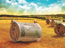 Когда берут кредиты фермеры: весенние скидки для них запоздали