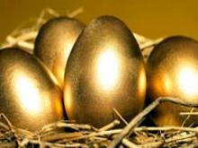 Прибыль компании «Челны-Бройлер» с начала года составила миллиард рублей