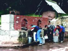 Помогите спасти родник у Дома лесника!