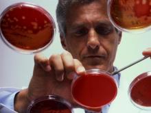 Продавца индийского препарата для лечения рака крови сняли с конкурса по правилу «Третий лишний»