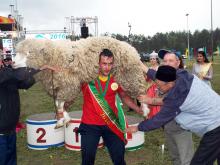 Абсолютный батыр Сабантуя второй год подряд племянник 'Копченого' - Эльдар Хамитов