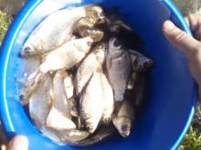 Челнинец Артур Минниханов самостоятельно зарыбляет Мелекеску карасями