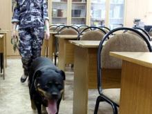 Родителям школьника, «заминировавшего» школу №53, грозит штраф до 200 тысяч рублей