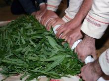 Александр Крысанов делает чайный лист из листьев груши и вишни