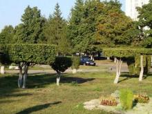 В Набережных Челнах утверждены 112 реакреационных зон, в которых запрещена застройка