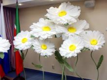 Фотозону выписки новорожденных КДМЦ украсили огромными ромашками