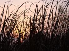 Челнинские спасатели выручили заблудившегося в камышах рыбака на реке Иж