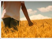 Спасатели ищут жителя Шильнебаша, написавшего записку о том, что он ушел умирать в поле