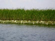 На Каме возле села Мурзиха утонул рыбак, страдавший эпилепсией