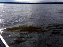 Обнаружено тело женщины, утонувшей 12 июля возле Ипподрома