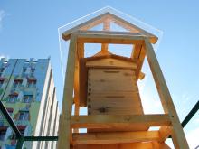 В Перми поставили «улей для лентяев»