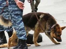 В Елабуге 24-летний парень сообщил о бомбе, пытаясь отомстить сотрудникам ресторана